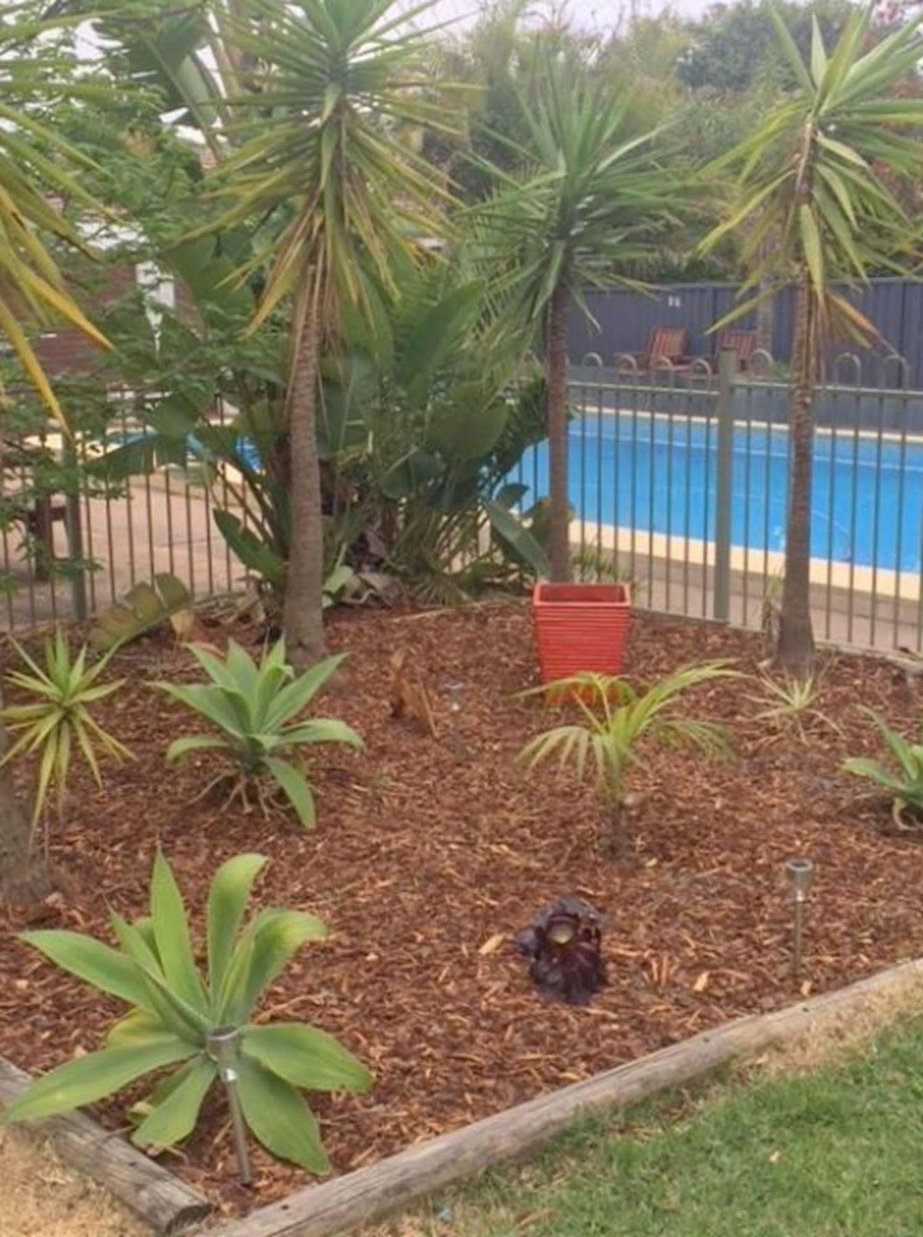 Cronulla Motor Inn Екстериор снимка